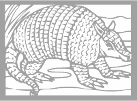 Dibujos para colorear animales de la selva, osos, elefantes, etc
