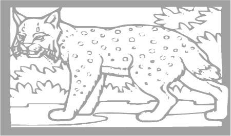 Dibujos para colorear animales de la selva, osos, elefantes, etc