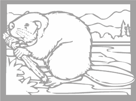 Dibujos para colorear animales de la selva, osos, elefantes, etc