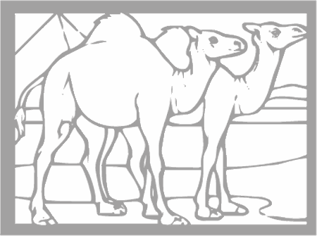 Dibujos para colorear animales de la selva, osos, elefantes, etc