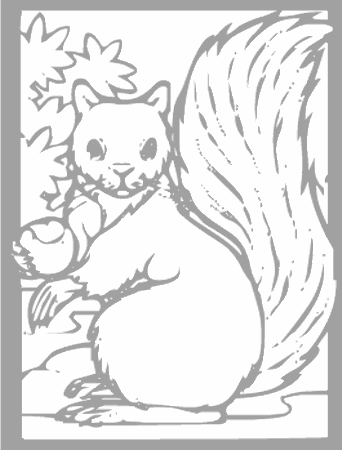 Dibujos para colorear animales de la selva, osos, elefantes, etc