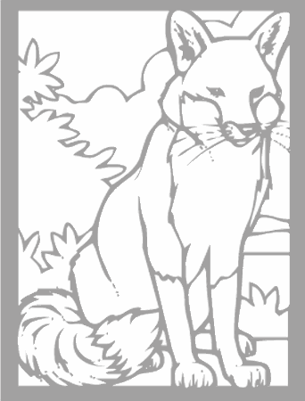 Dibujos para colorear animales de la selva, osos, elefantes, etc