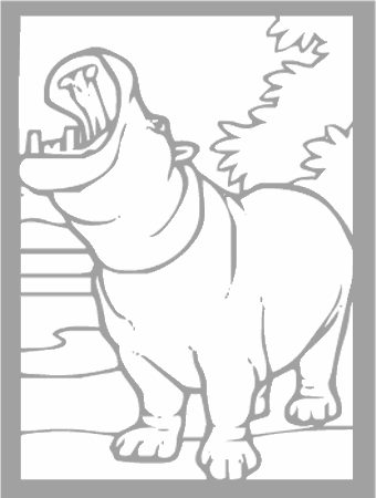 Dibujos para colorear animales de la selva, osos, elefantes, etc