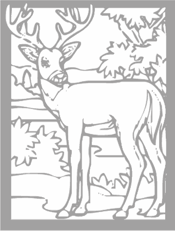 Dibujos para colorear animales de la selva, osos, elefantes, etc