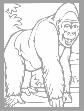 Dibujos para colorear animales de la selva, osos, elefantes, etc