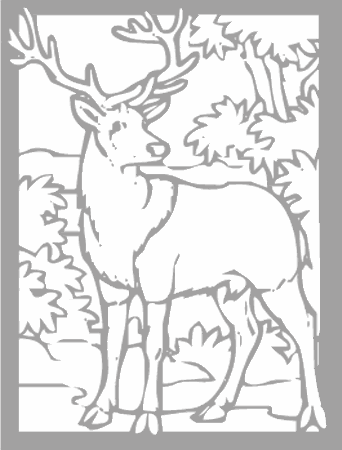 Dibujos para colorear animales de la selva, osos, elefantes, etc