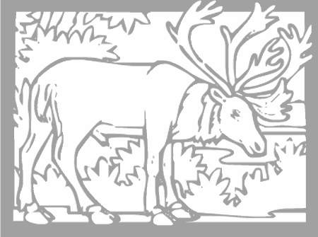 Dibujos para colorear animales de la selva, osos, elefantes, etc