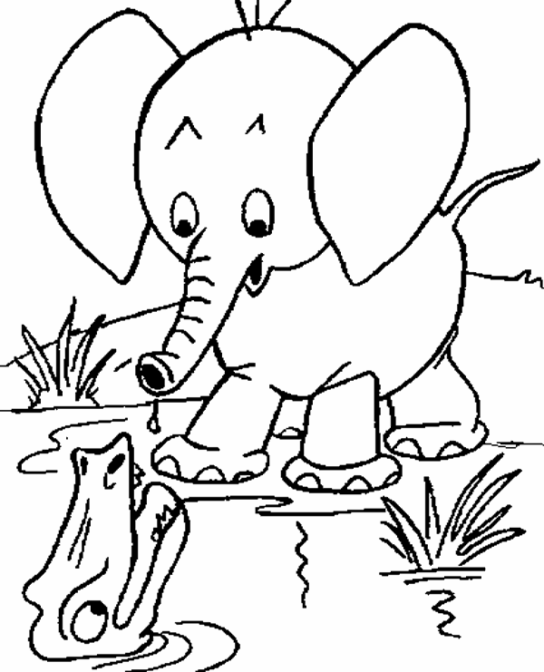 Dibujos para colorear animales de la selva, osos, elefantes, etc
