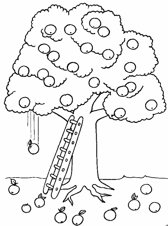 Dibujos para colorear arboles
