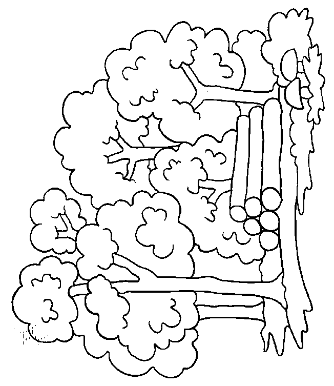 Dibujos para colorear arboles