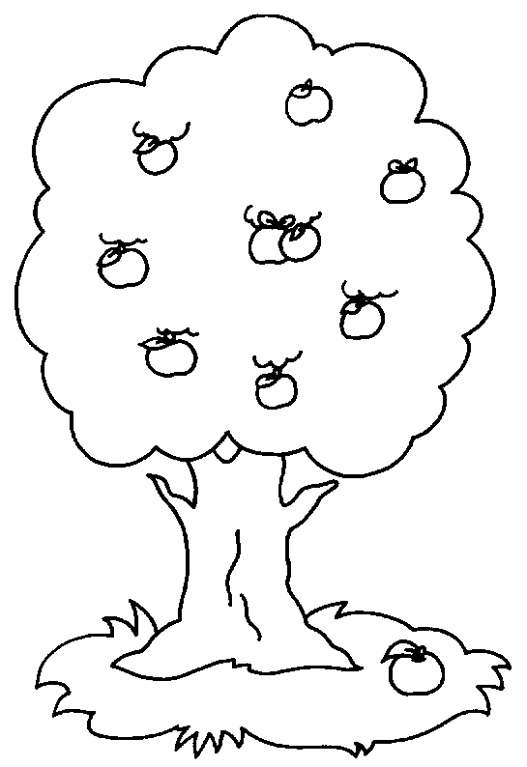 Dibujos para colorear arboles