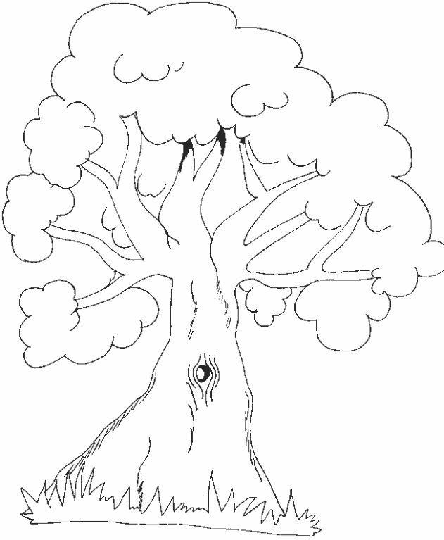 Dibujos para colorear arboles