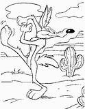 Dibujos para colorear del coyote y el correcaminos