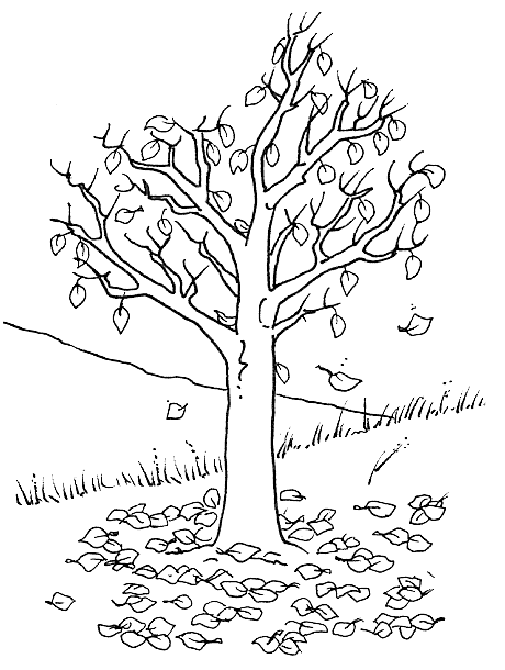 disegni alberi da colorare