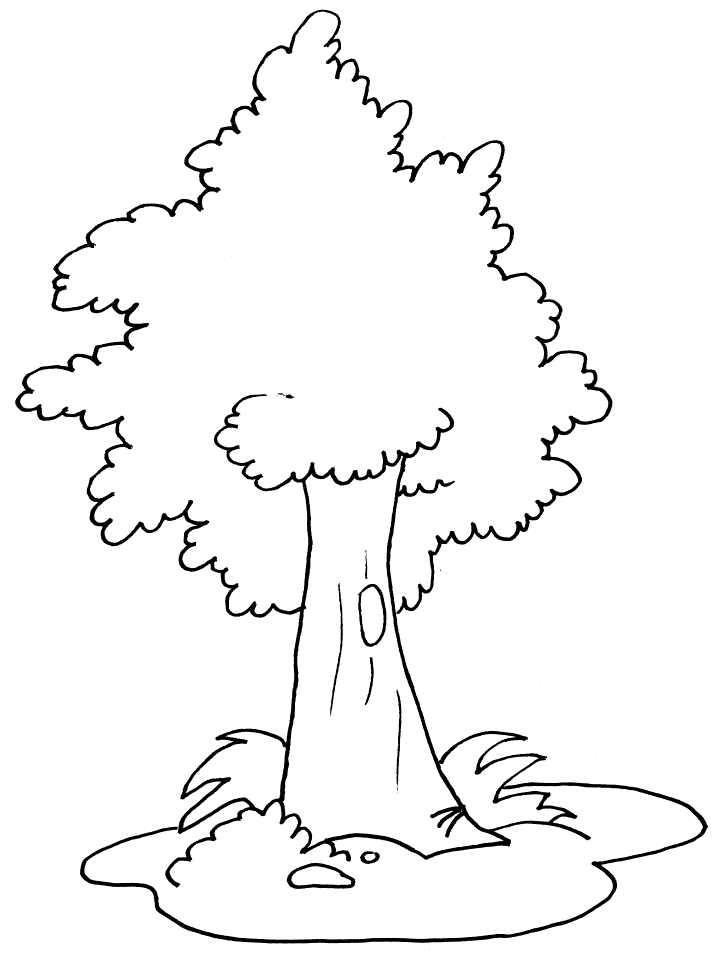 disegni alberi da colorare