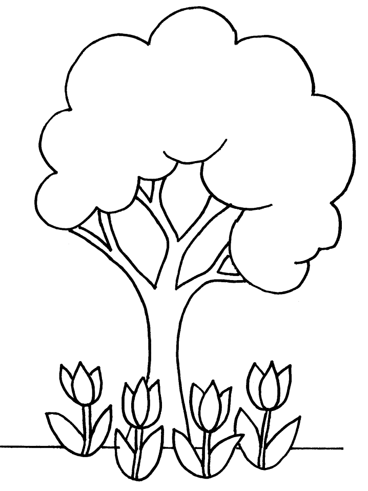 disegni alberi da colorare