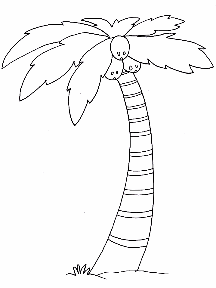 disegni alberi da colorare
