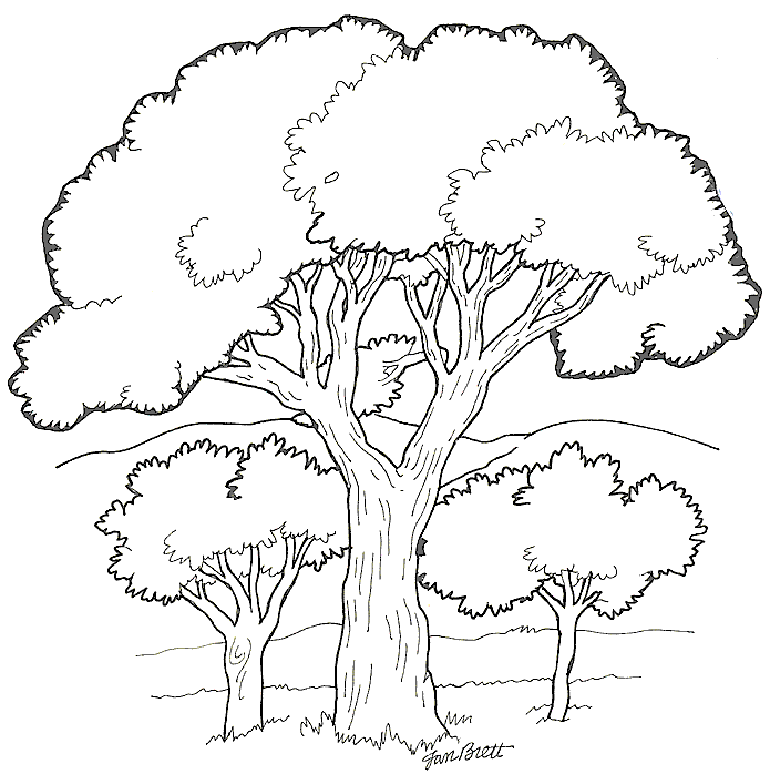 disegni alberi da colorare