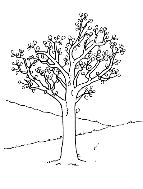 disegni alberi da colorare