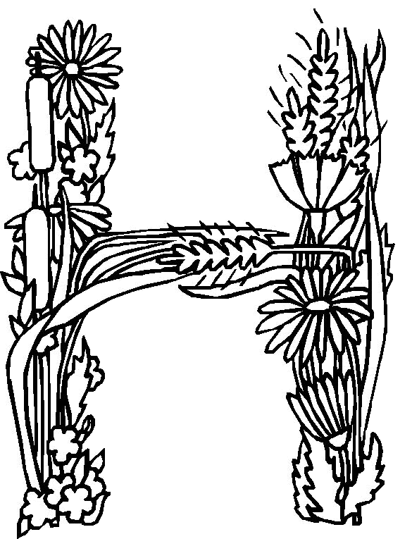 disegni alfabeto fiori foglie da colorare