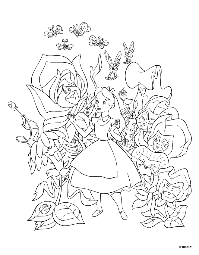 disegni alfabeto alice da colorare