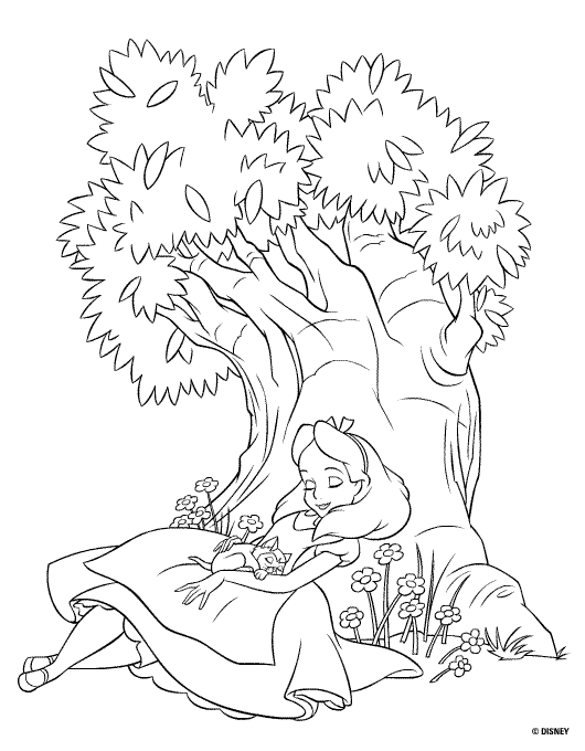 disegni alfabeto alice da colorare