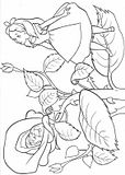 disegni alfabeto alice da colorare