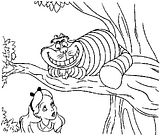 disegni alfabeto alice da colorare