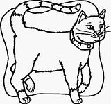 disegni animali domestici da colorare