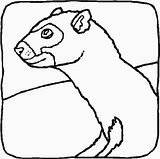 disegni animali domestici da colorare