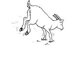 disegni animali fattoria da colorare
