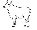 disegni animali fattoria da colorare