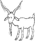 disegni animali fattoria da colorare