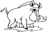 disegni animali foresta da colorare