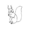 disegni animali foresta da colorare