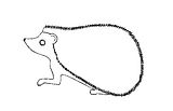 disegni animali foresta da colorare