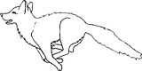 disegni animali foresta da colorare