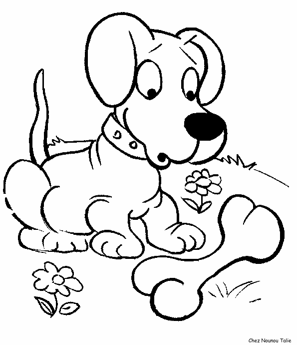 disegni animali misti da colorare