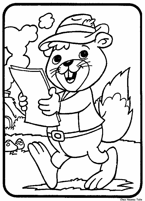 disegni animali misti da colorare
