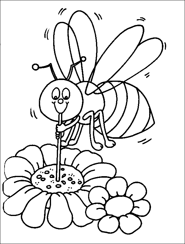 disegni api da colorare