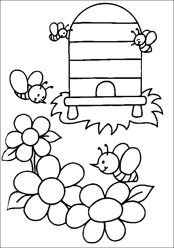 disegni api da colorare