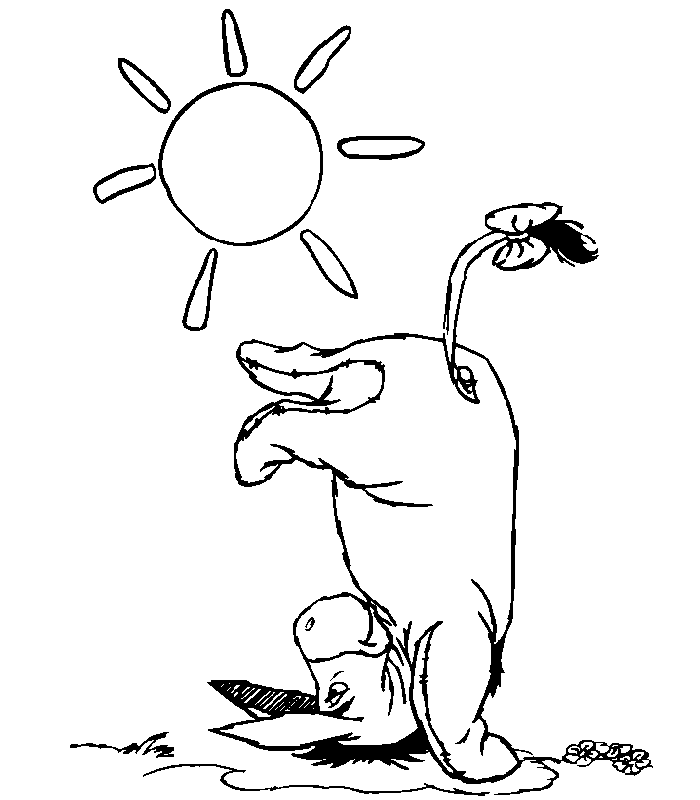 disegni asino da colorare