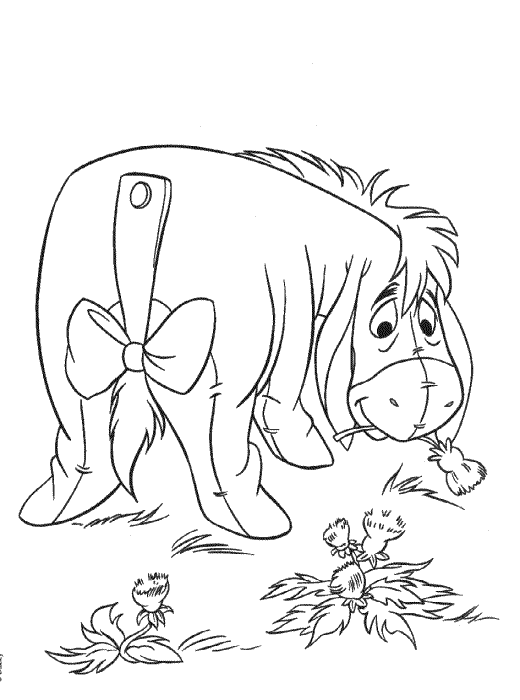 disegni asino da colorare