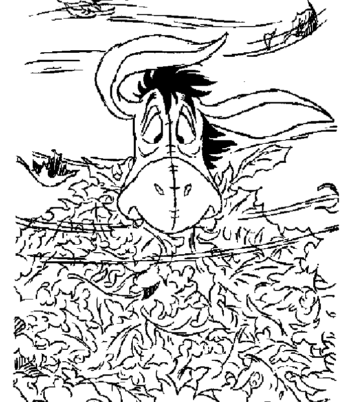 disegni asino da colorare
