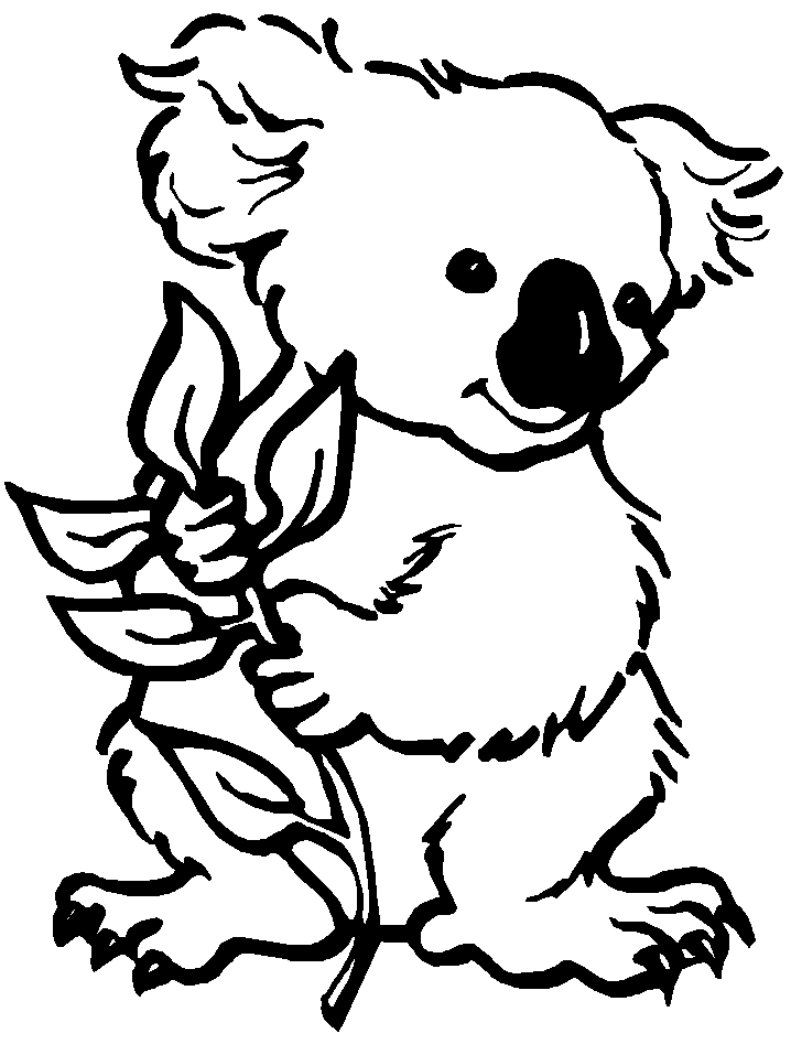 disegni australia da colorare