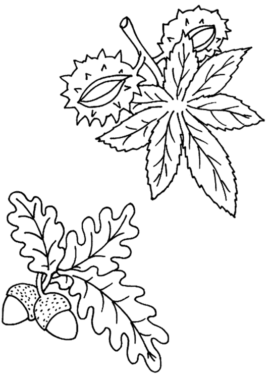 disegni autunno da colorare