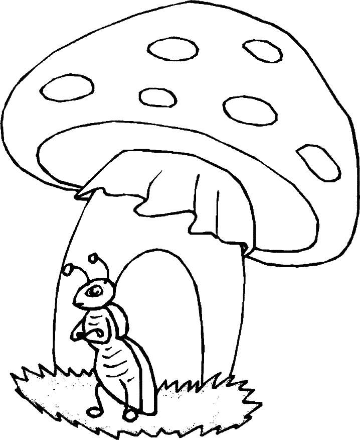 disegni autunno da colorare
