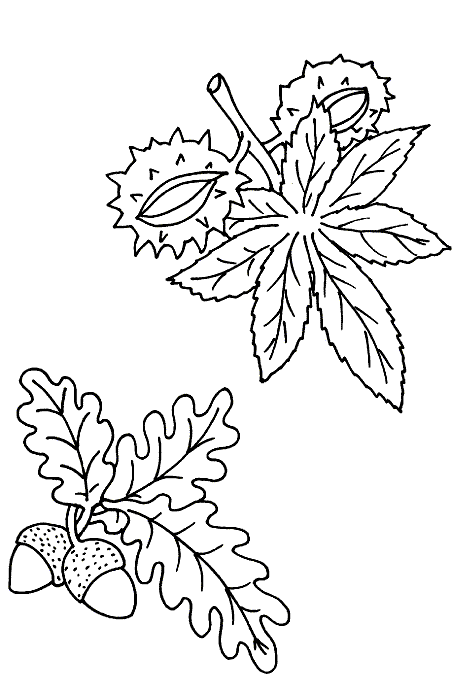 disegni autunno da colorare