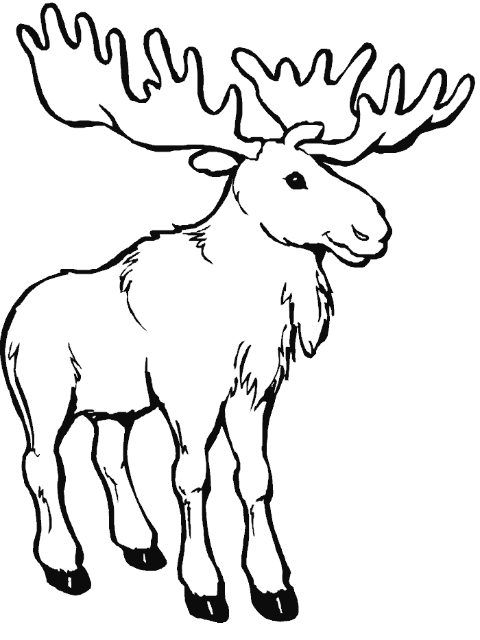 disegni canada da colorare