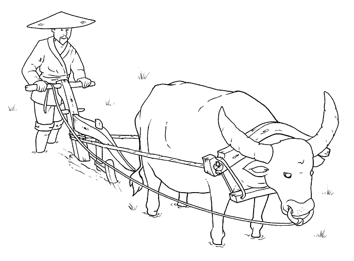 disegni cina da colorare